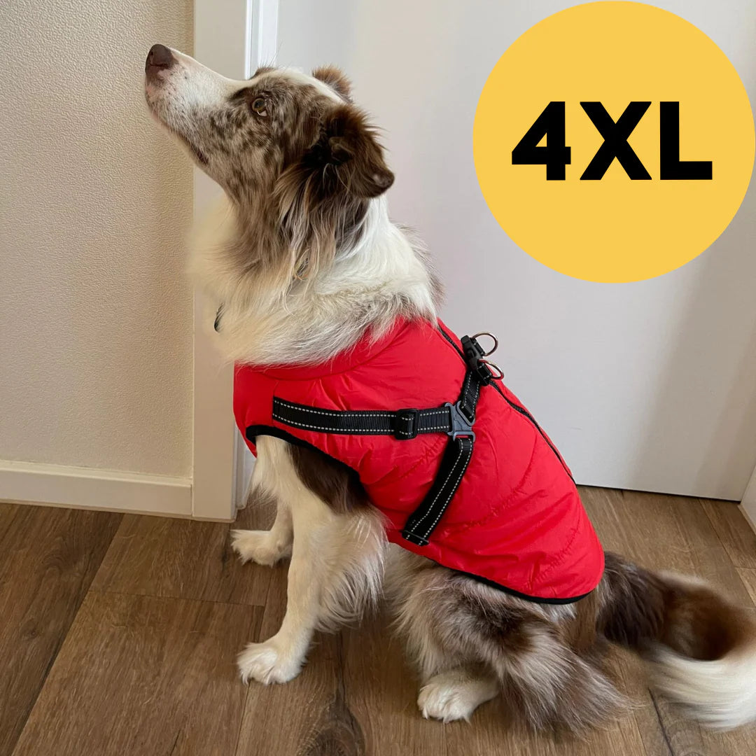 FluffyFit™ | Bescherm je hond tegen de koude herfst & winterdagen!