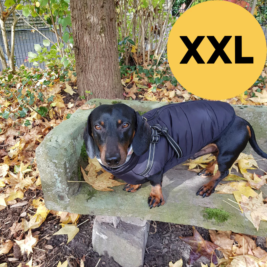 FluffyFit™ | Bescherm je hond tegen de koude herfst & winterdagen!