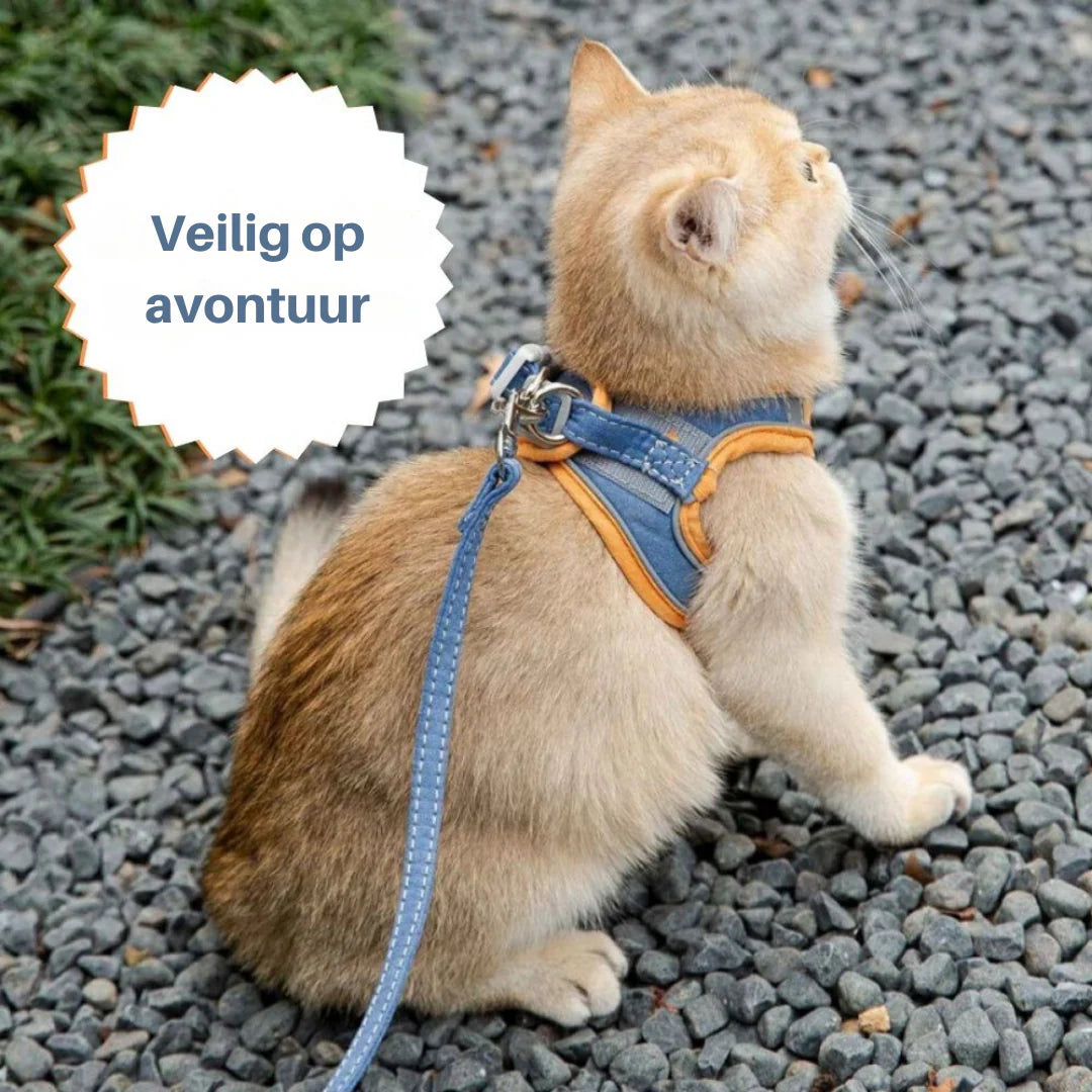 KatHarnas⢠| Nooit meer oncomfortabele wandelingen!