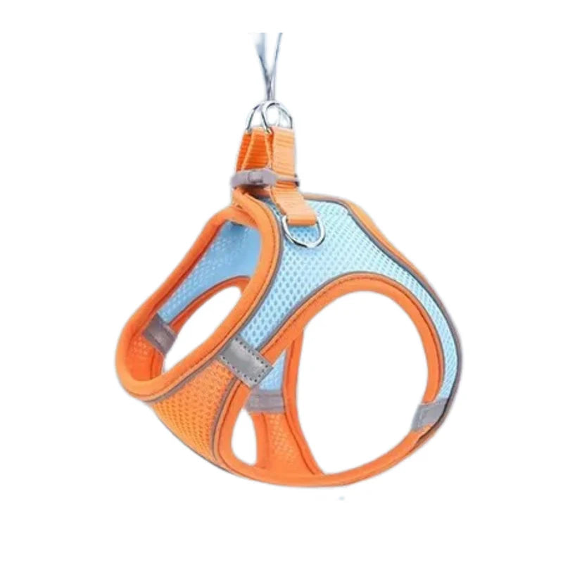 KatHarnas⢠| Nooit meer oncomfortabele wandelingen!