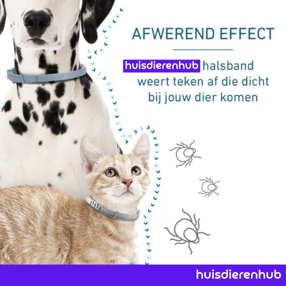 Vlooienhalsband™ Nooit meer last van vlooien!