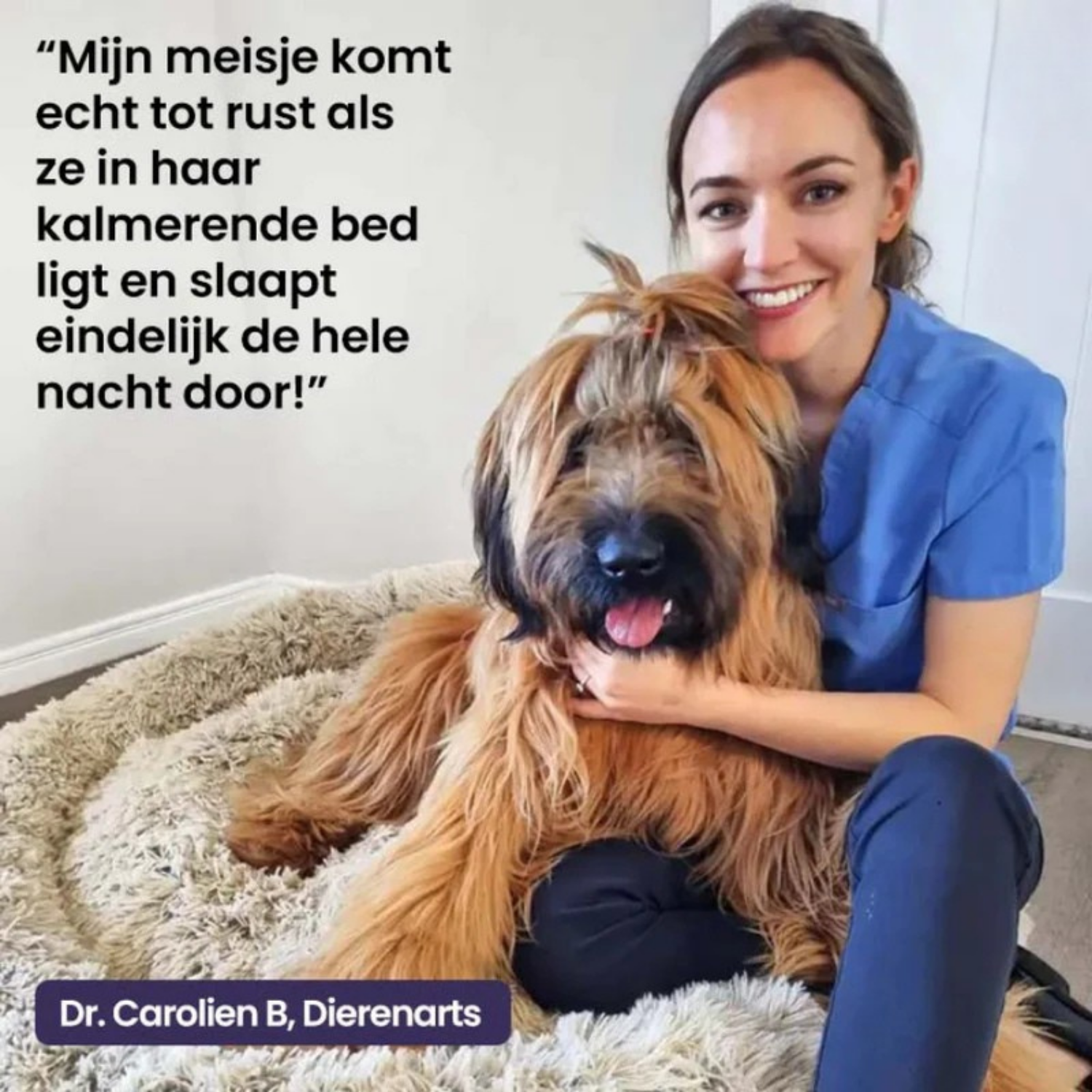 DreamPaw™ | Waar pootjes rust vinden en dromen beginnen!