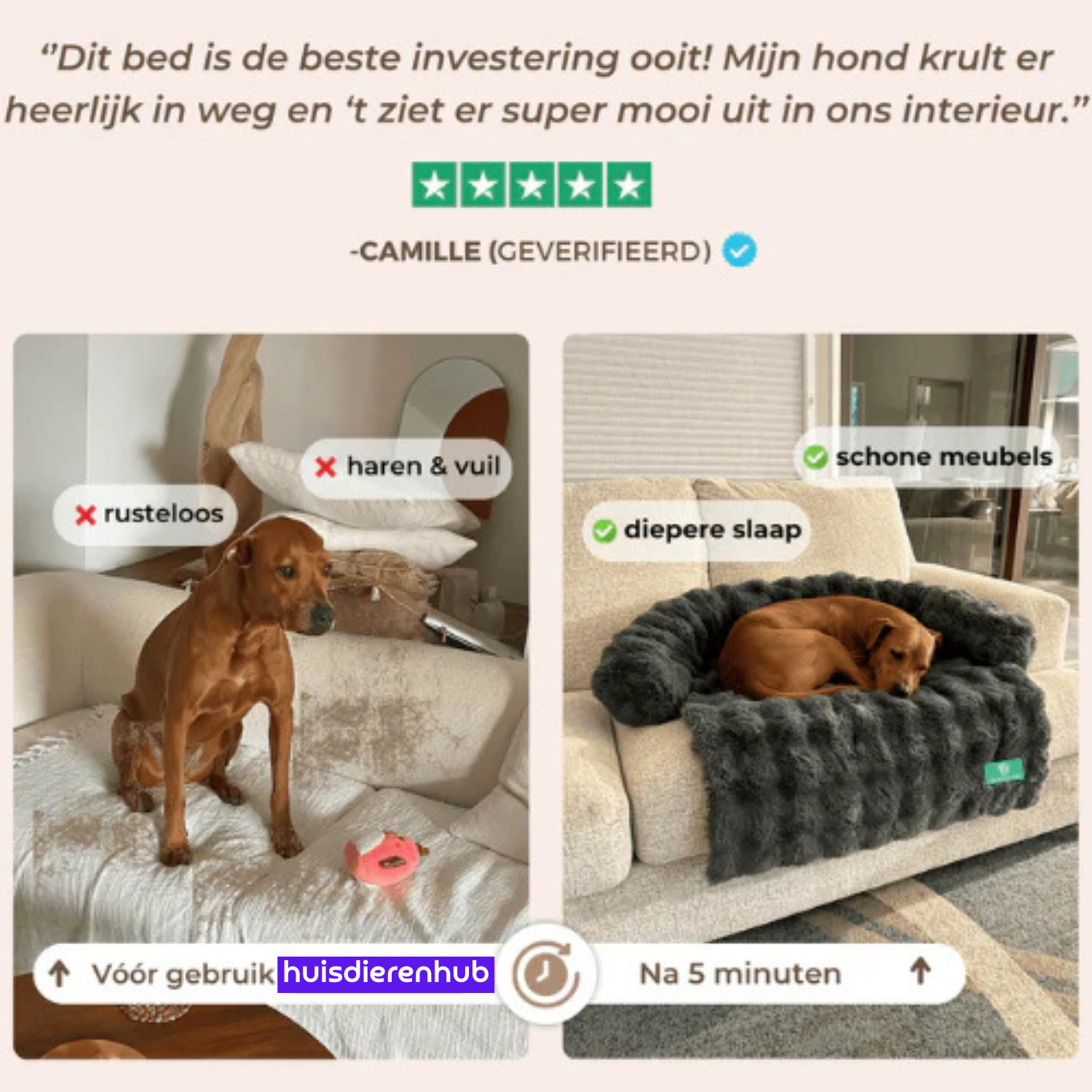 SnoozePaws™ | Waar jouw hond droomt van comfort! (1+1 GRATIS)