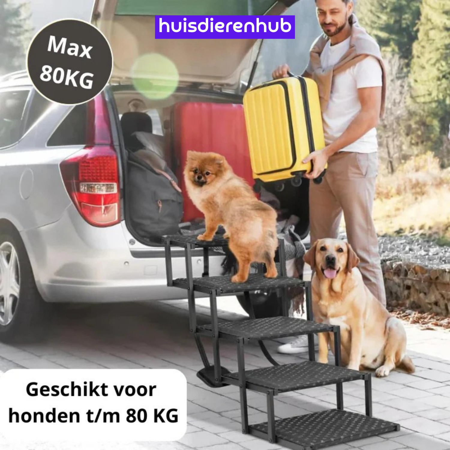 EasyPaws™ | Opvouwbare Hondentrap