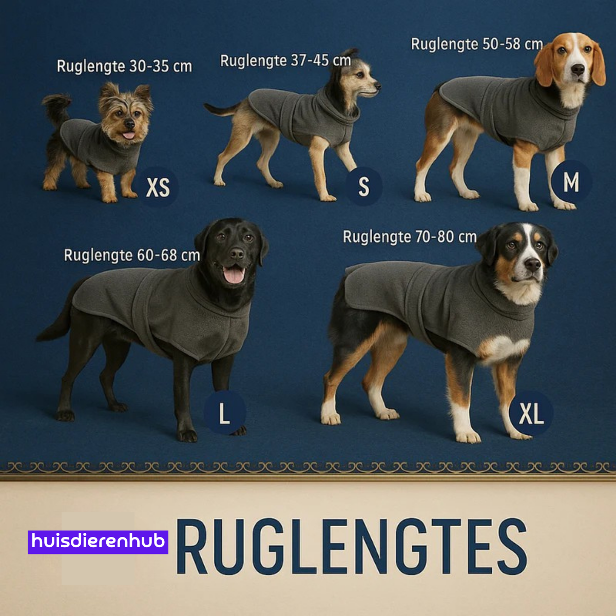 PawDry™ Houd je hond droog en je huis schoon!