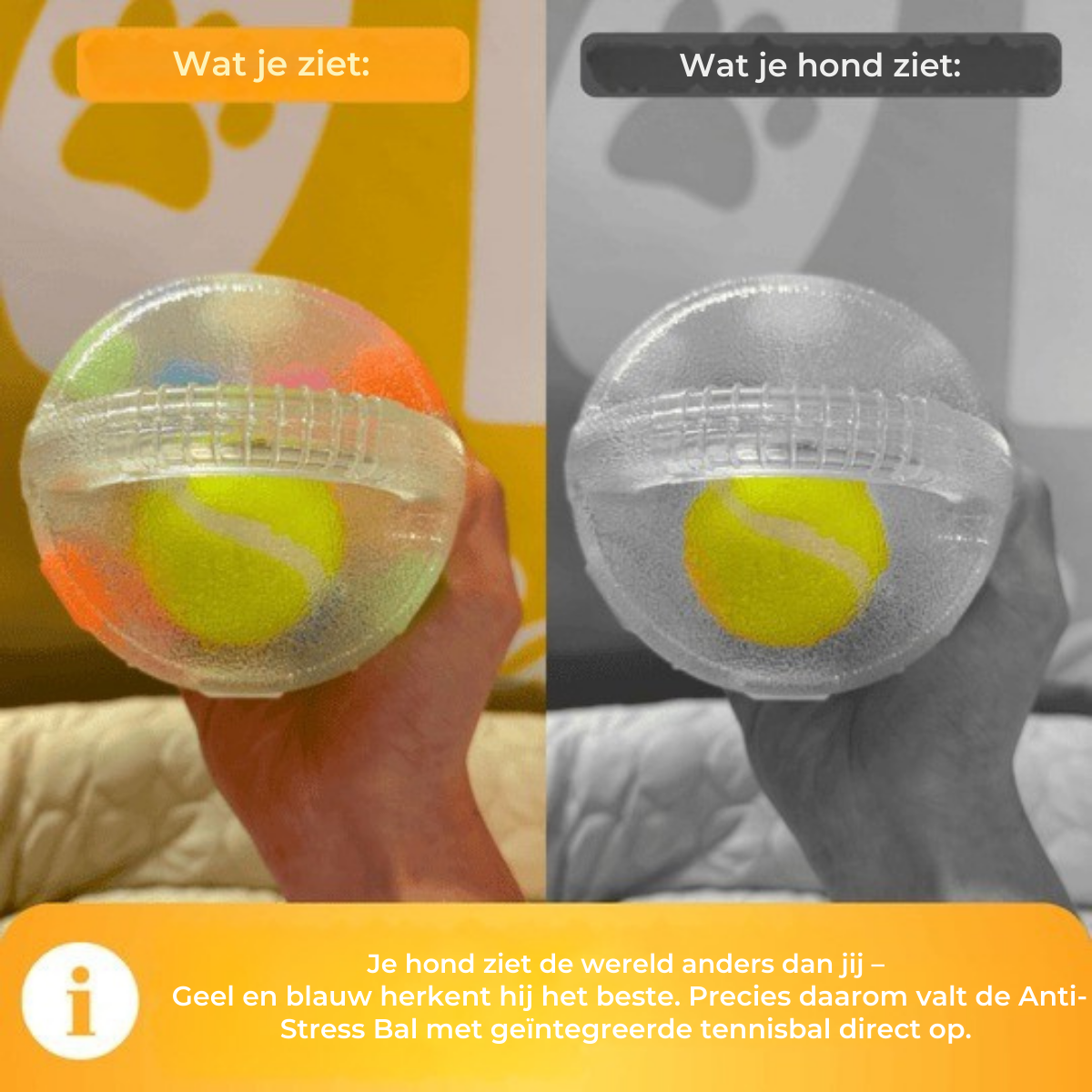 HappyPaws | Stressverlichtend Speelbal voor Honden