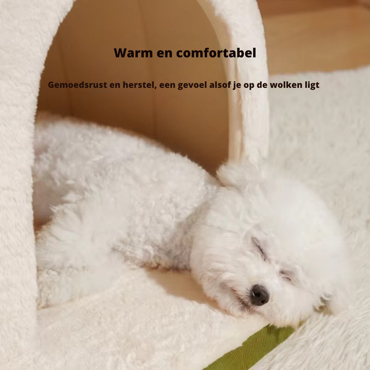 PetCave | Gezellige Honden- en Kattenmandhuis