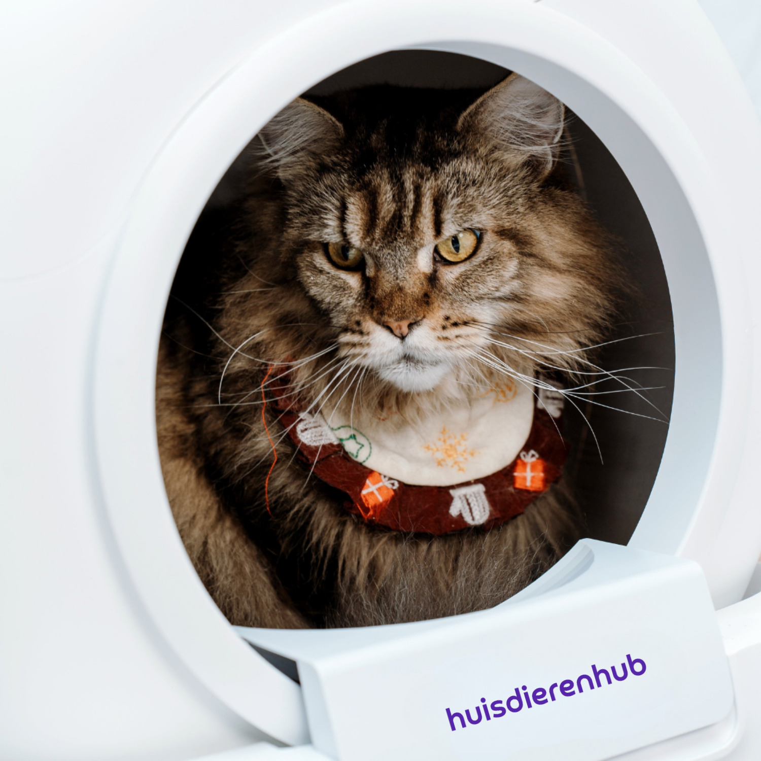 CleanPaws | Automatische Kattenbak