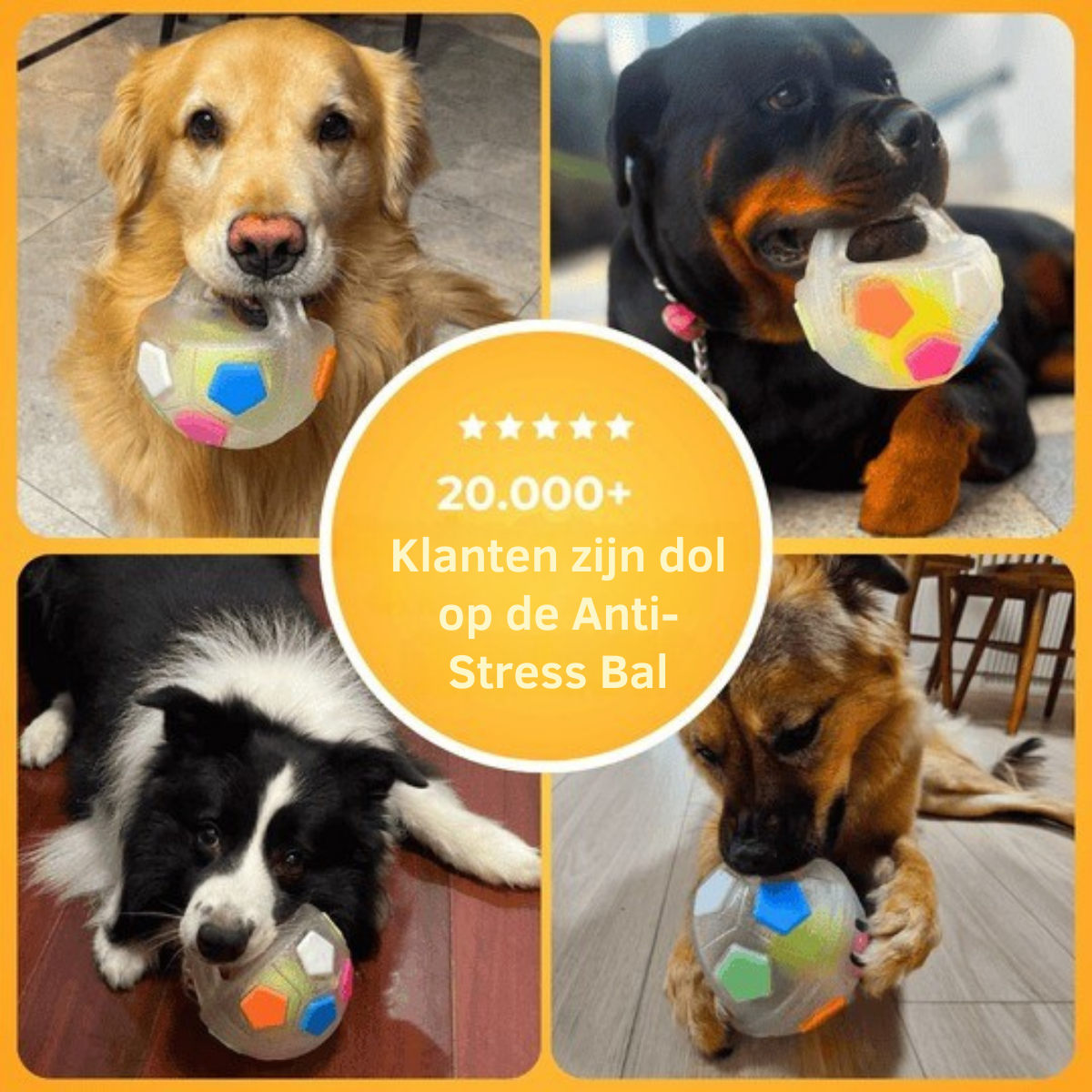 HappyPaws | Stressverlichtend Speelbal voor Honden