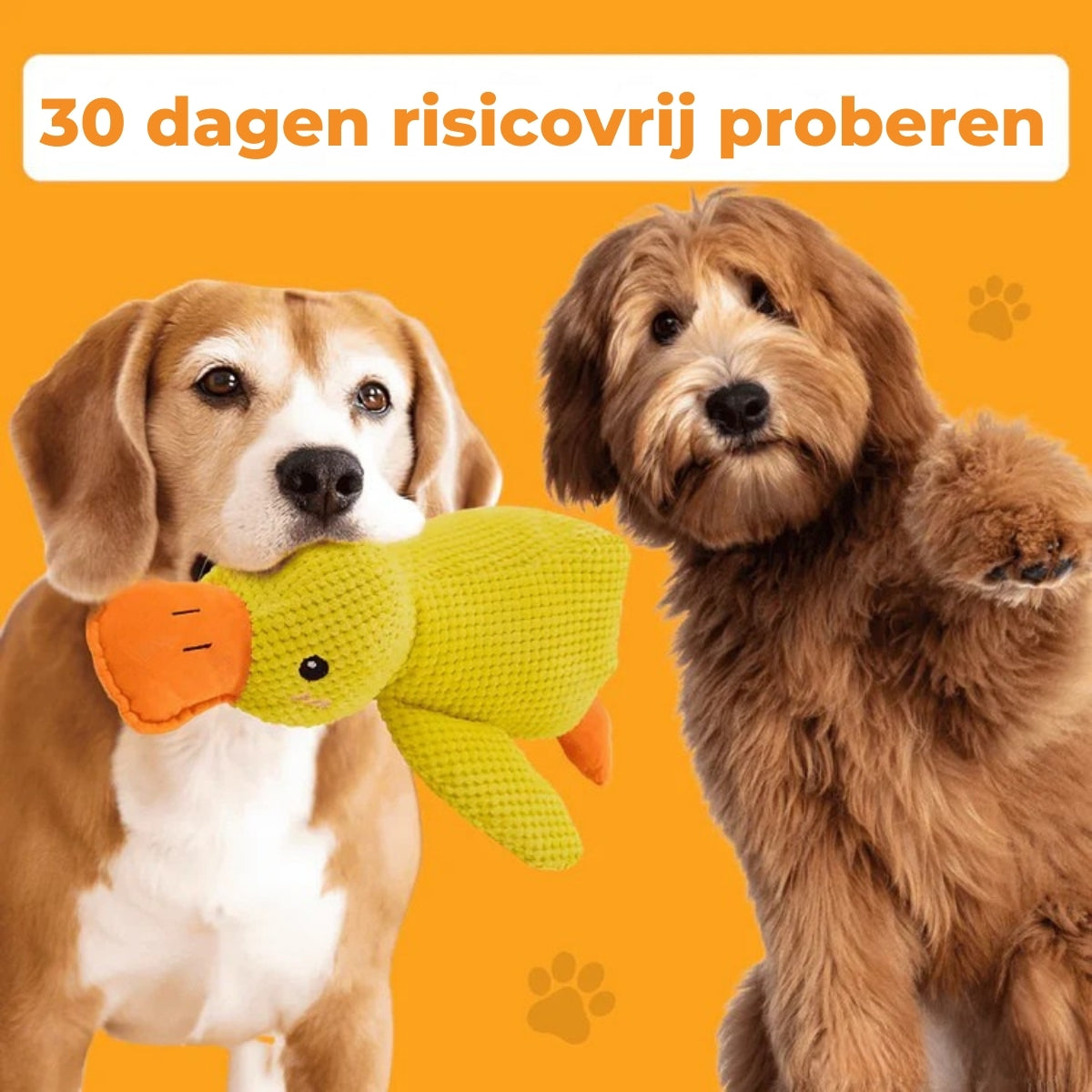 QuackBuddy | Anti-Stress Knuffel voor Honden