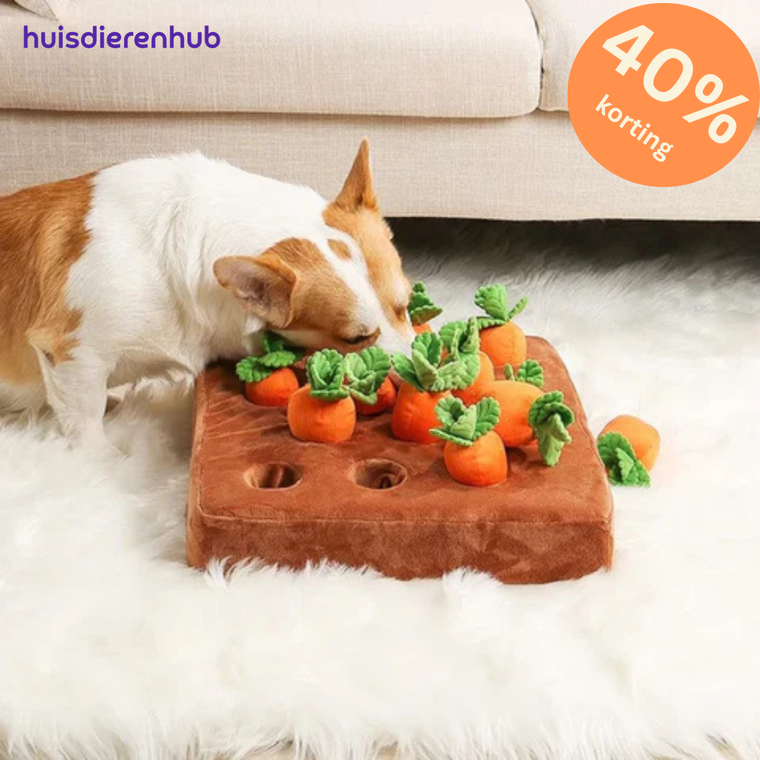 TreatHunt | De Ultieme Snackchallenge