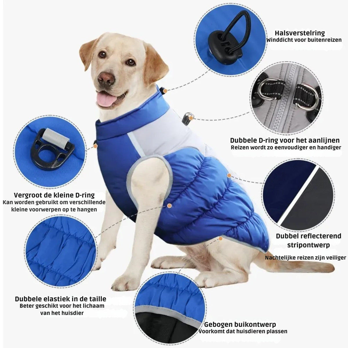 StormTail™ | Waterdichte en warme hondenjas