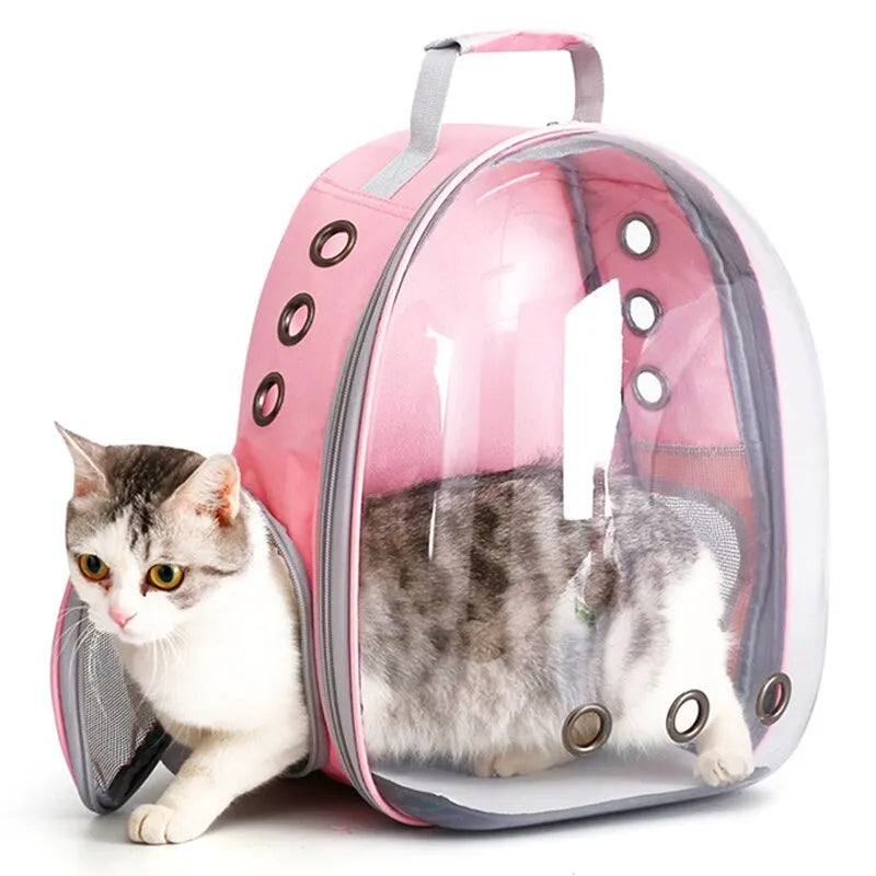 KittyBag™ Geen stress meer met kattenreizen!