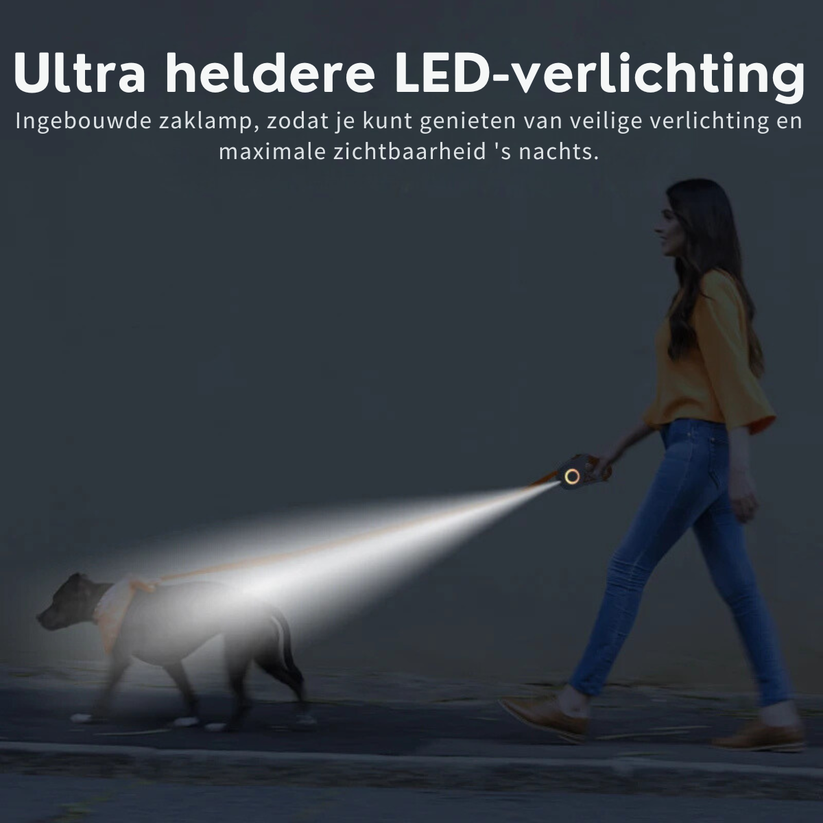 PawGlow™ | Licht in de duisternis: veilig op pad, samen stralend!