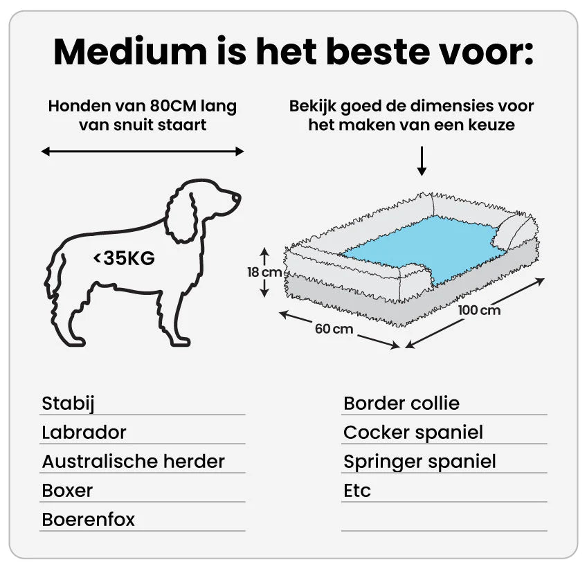 PawPad™ | Orthopedisch Kussen Hondenbed voor Pijnvrije Ontspanning