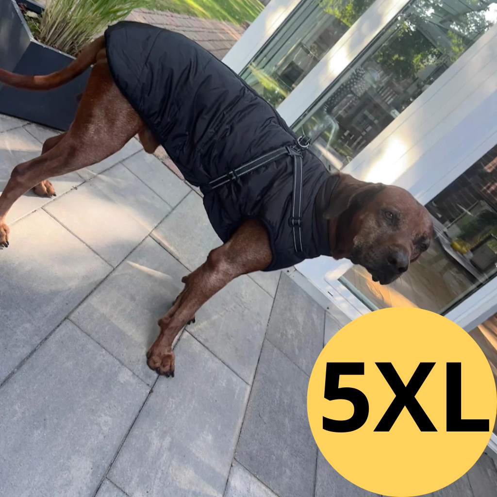 FluffyFit™ | Bescherm je hond tegen de koude herfst & winterdagen!