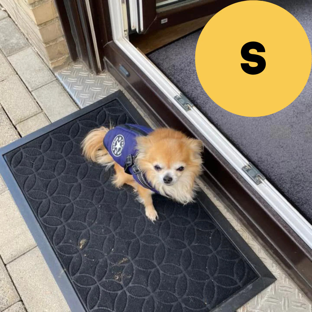 FluffyFit™ | Bescherm je hond tegen de koude herfst & winterdagen!