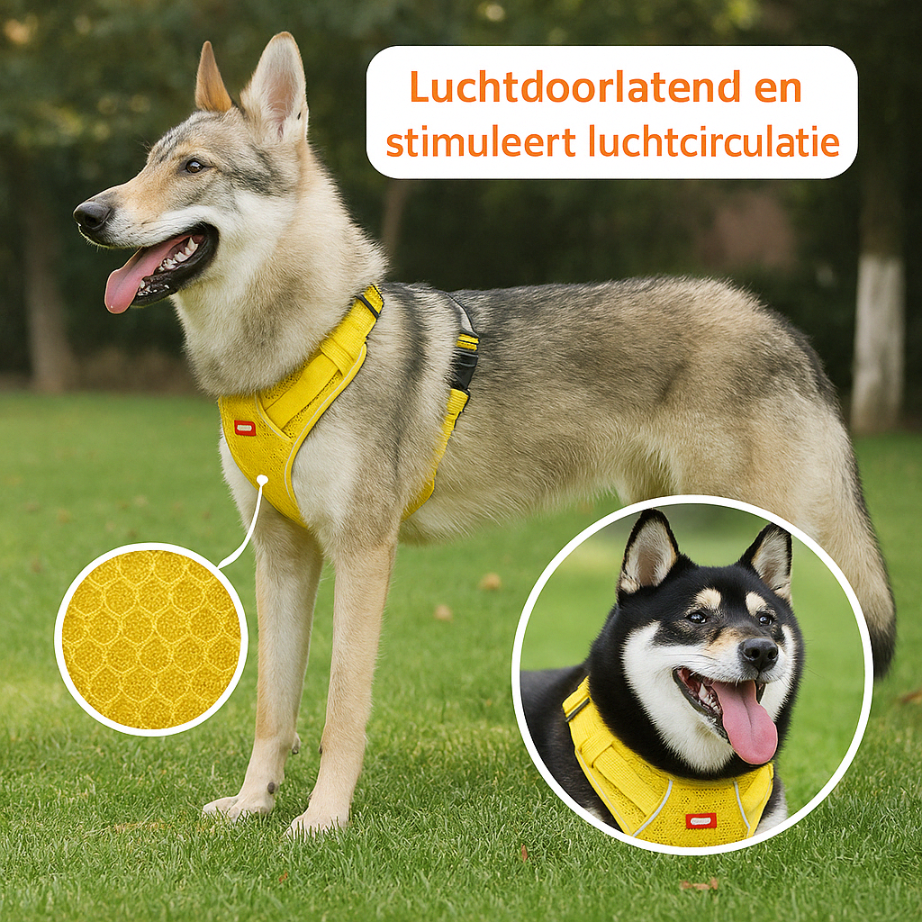 EasyWalk™ | Voorkom nekpijn en kies voor ademend gemak!