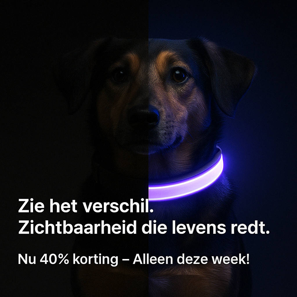 BrightPaw™ | Oplaadbare LED Hondenhalsband voor Veiligheid