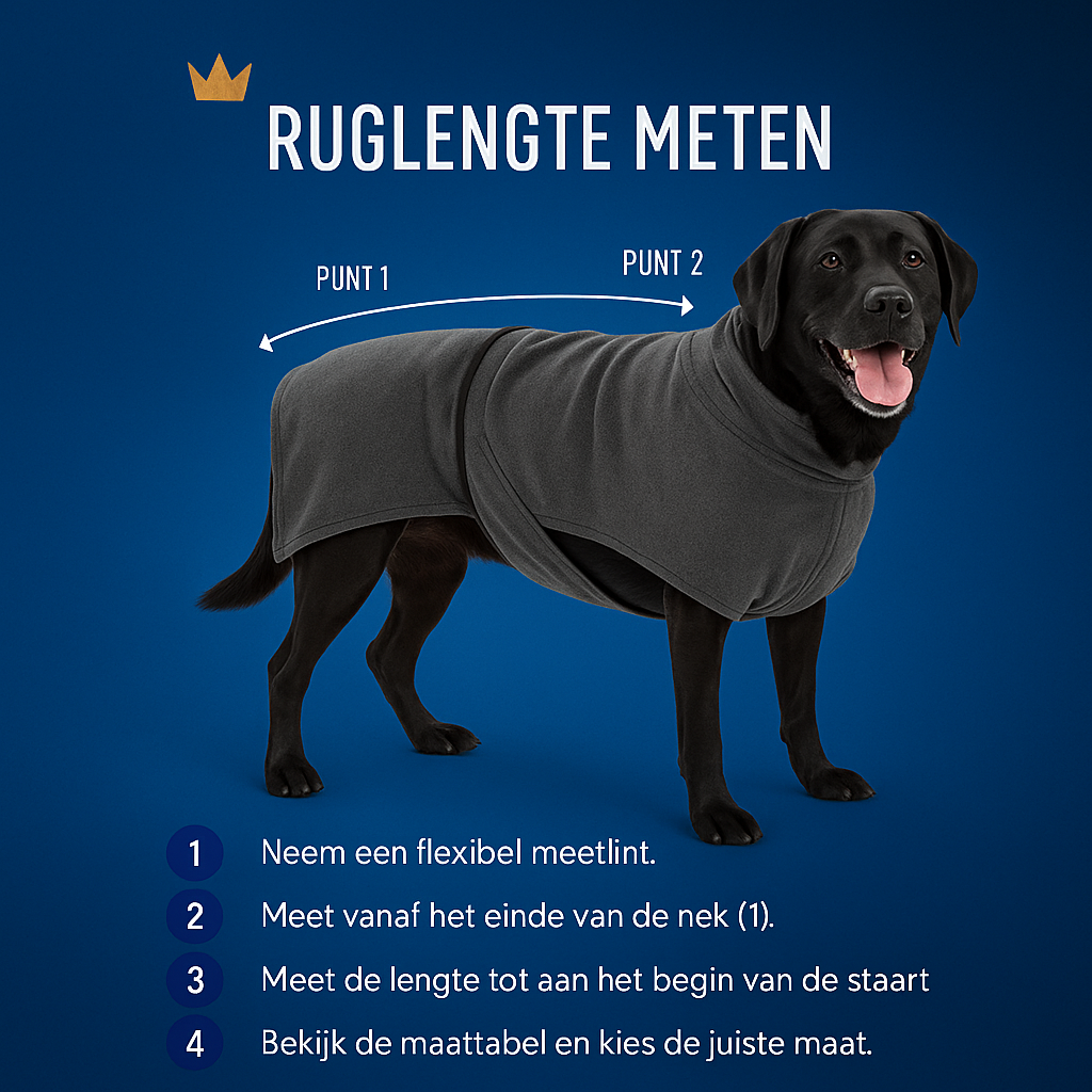 PawDry™ Houd je hond droog en je huis schoon!