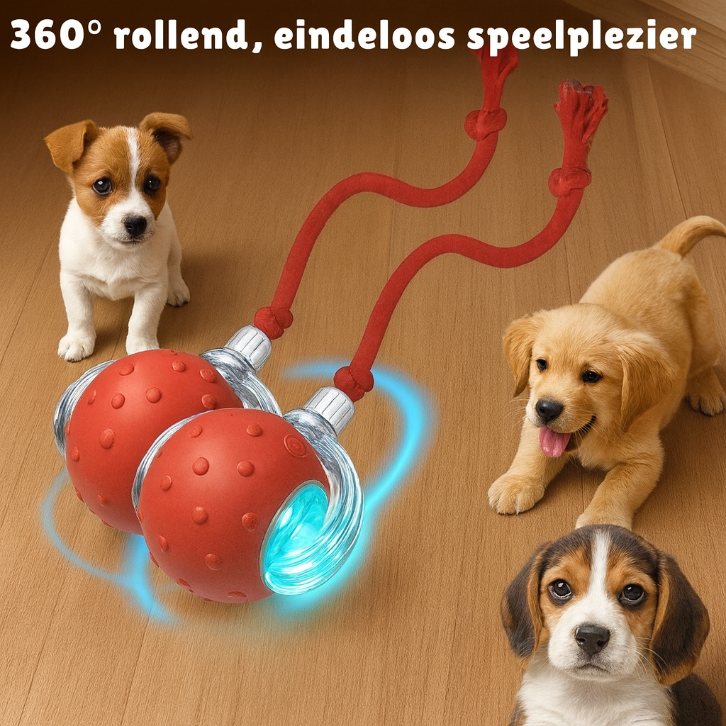 ProoiPret | Eindeloos plezier, zelfs als je niet thuis bent