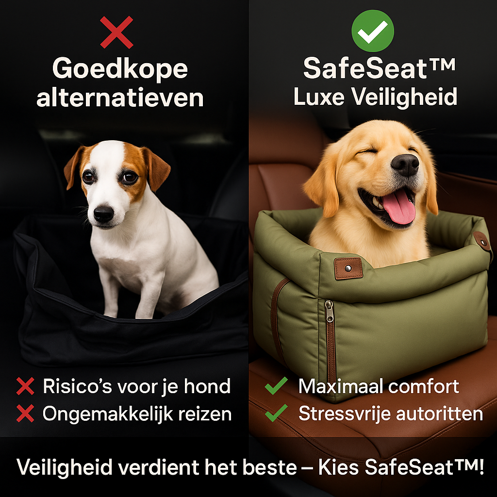 SafeSeat™ | Zeg vaarwel tegen onveilige ritten!
