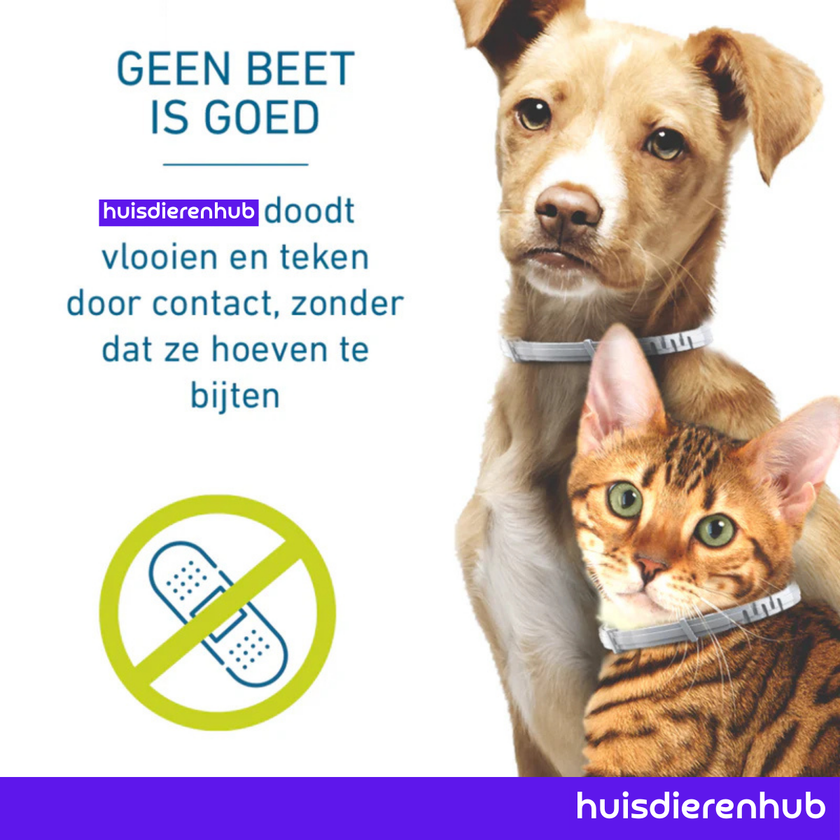 Vlooienhalsband™ Nooit meer last van vlooien!