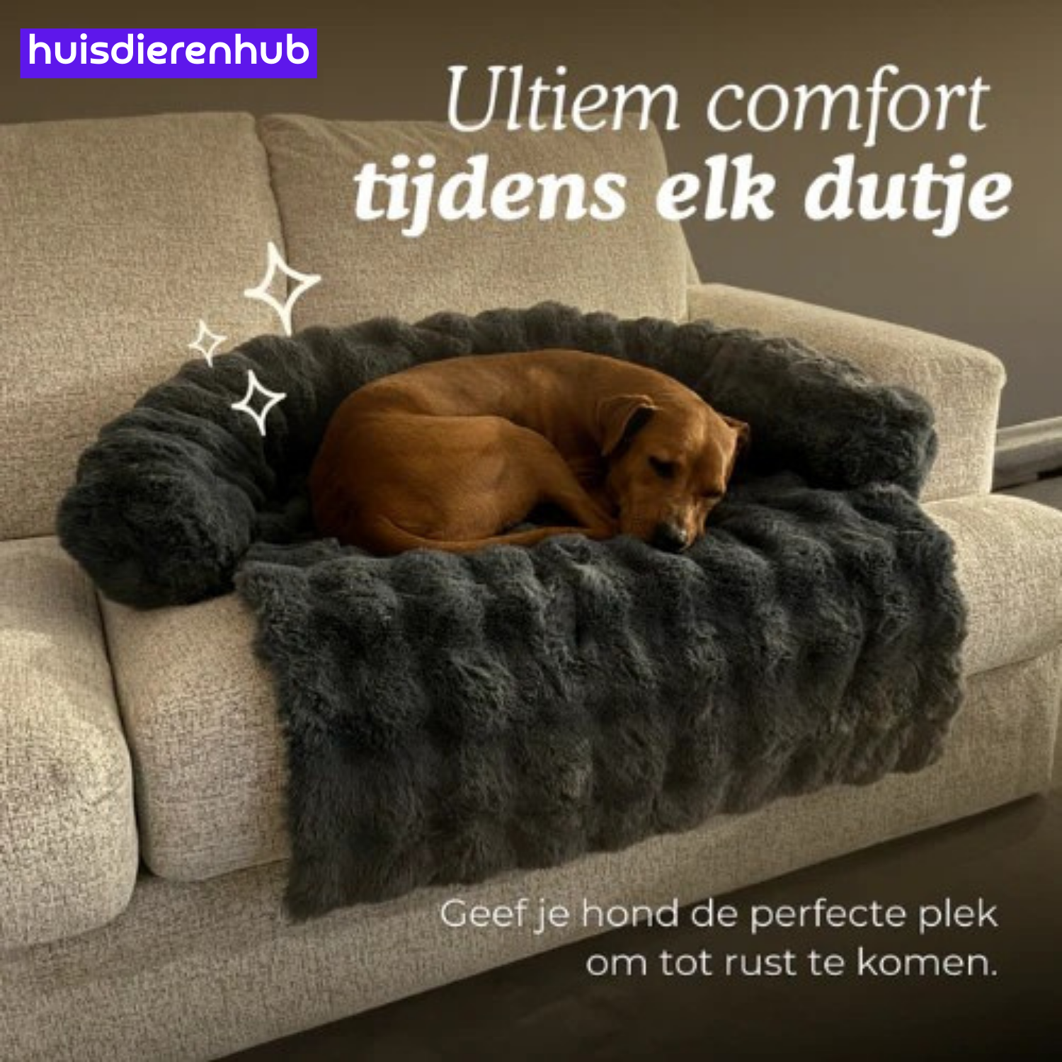 SnoozePaws™ | Waar jouw hond droomt van comfort! (1+1 GRATIS)