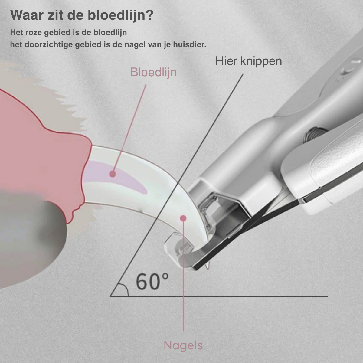 PawCare | Veilige Nagelknipper voor Zorgeloos Trimmen