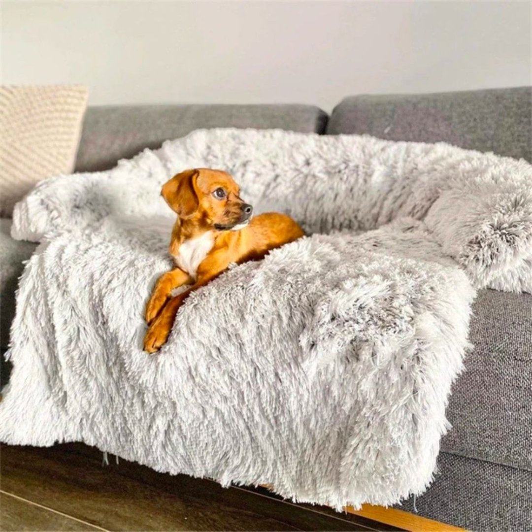 SnoozePaws™ | Waar jouw hond droomt van comfort! (1+1 GRATIS)