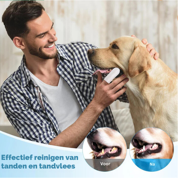 BrightBite™ | Tandreinigingsdoekjes