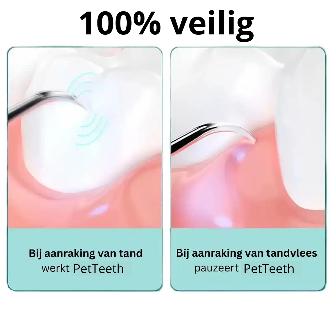 PetTeeth™ | Bescherm je hond tegen tandsteen!