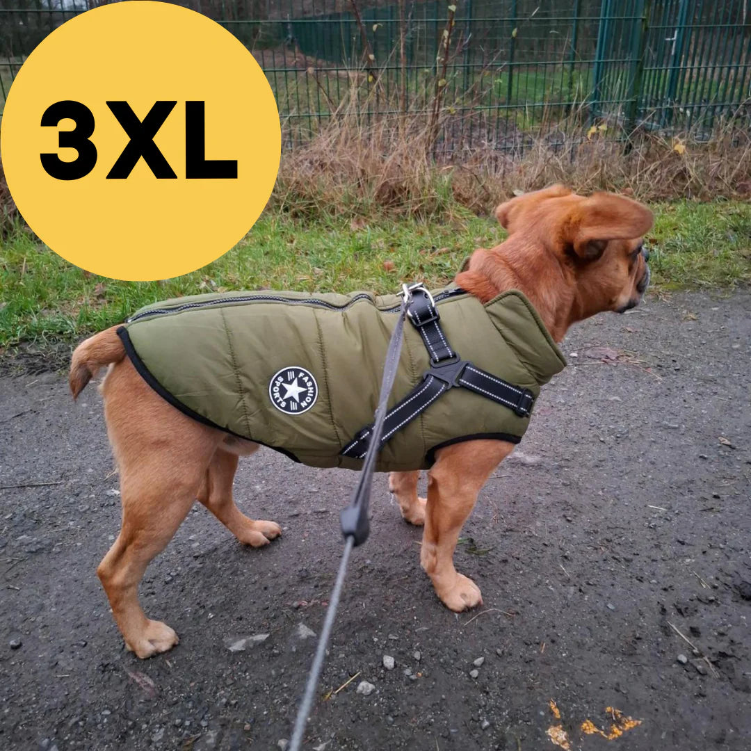 FluffyFit™ | Bescherm je hond tegen de koude herfst & winterdagen!