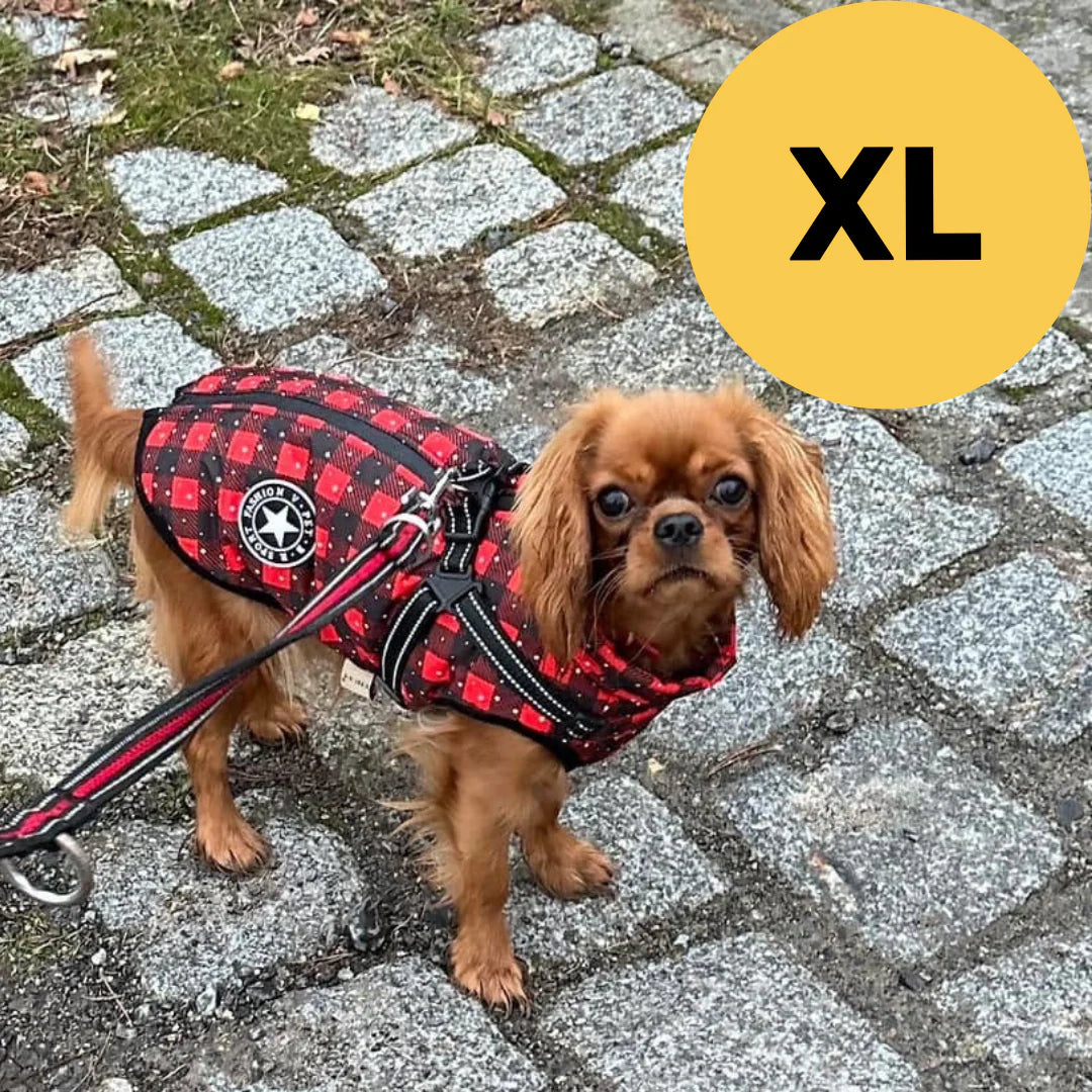 FluffyFit™ | Bescherm je hond tegen de koude herfst & winterdagen!
